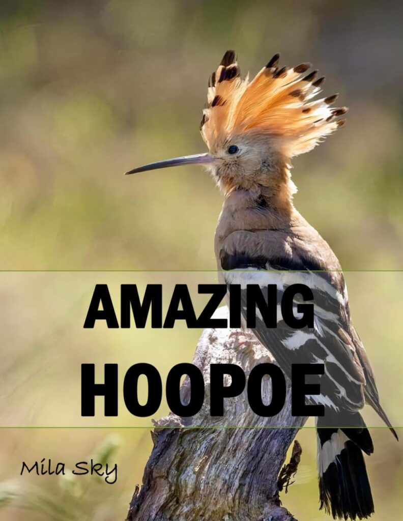 Hoopoe Coffee Table Photo Book