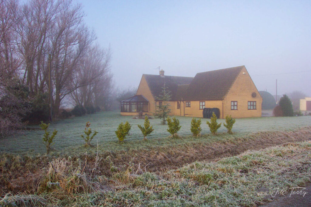 Willowdale Farm
