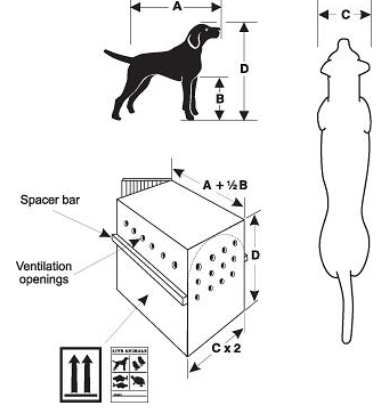 Dog-crate-size