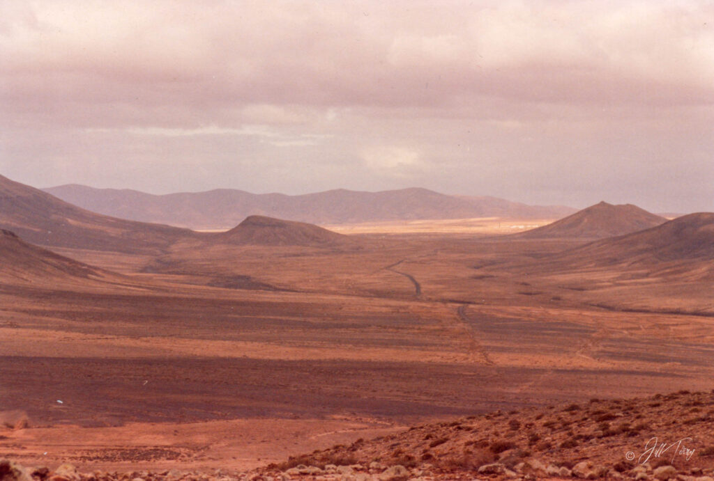 1986 Montana Blanca, Caleta