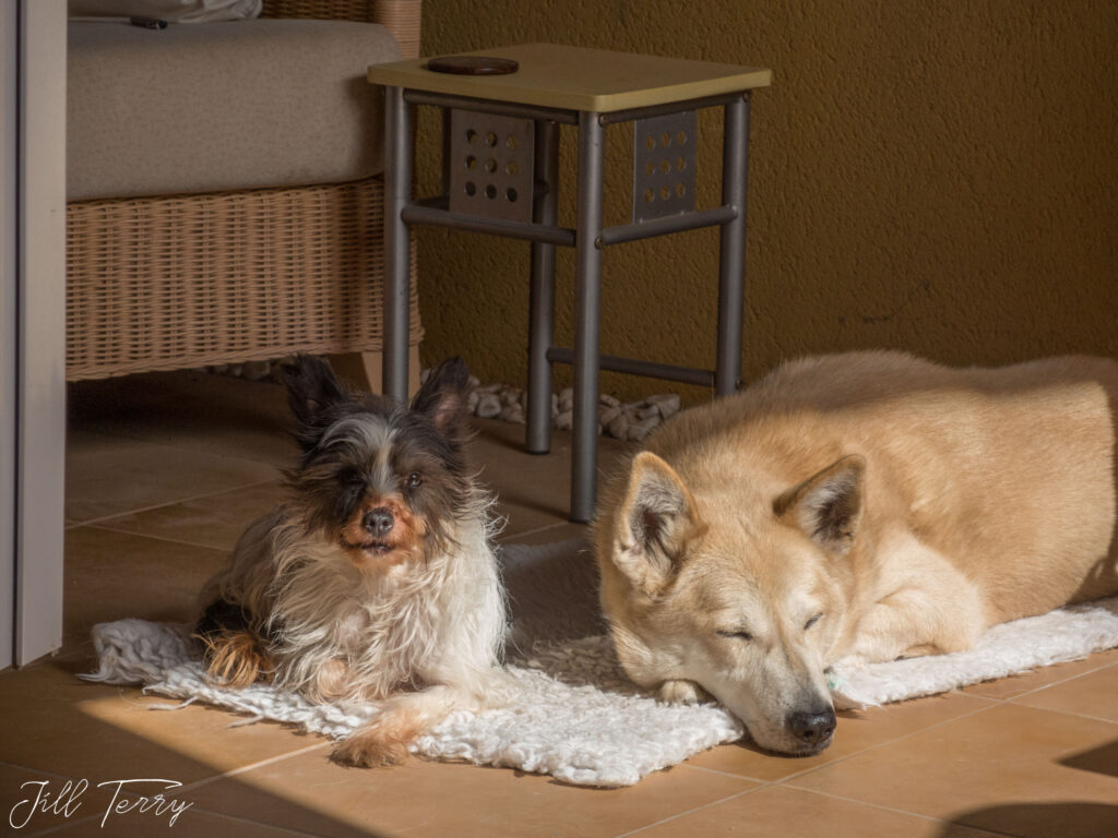 Rene-and-Sherry